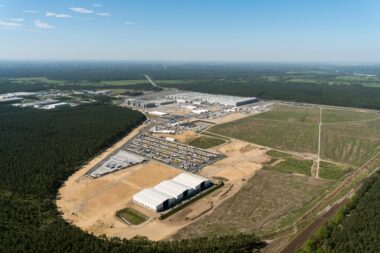 Déforestation en Allemagne : la Gigafactory de Tesla fait face à une levée de boucliers écologistes