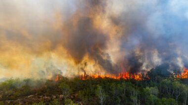 réchauffement climatique