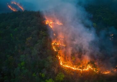 climat-baisse-financements-france