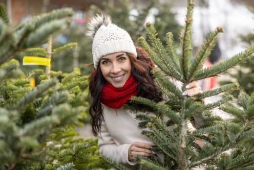 sapin noël marché