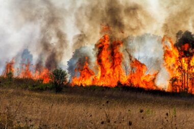 gaz-a-effet-de-serre-france-resultats-2024