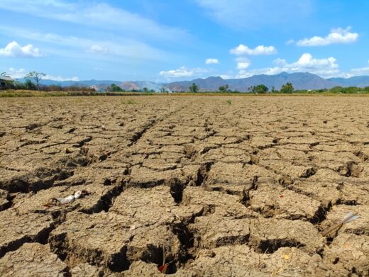 Quelles sont les projections de Météo France sur le réchauffement climatique en France, envisageant une hausse de 4°C d'ici 2100.