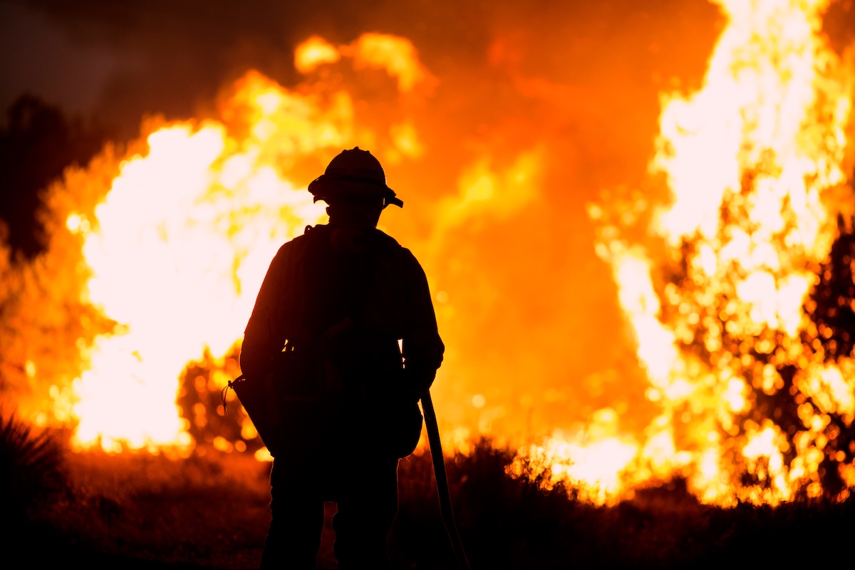 hollywood, los angeles, incendies, pertes économiques, évacuation, USA